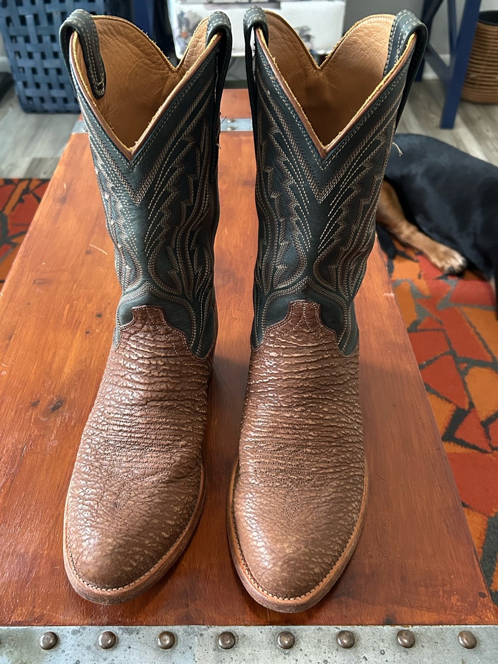 Tecovas shark skin with Black Embroidered Shaft Western Boots